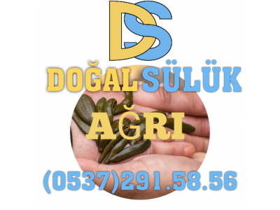 AĞRI DOĞUBEYAZIT SÜLÜK SATIŞI Toptan ve Perakende Sülük Satışı